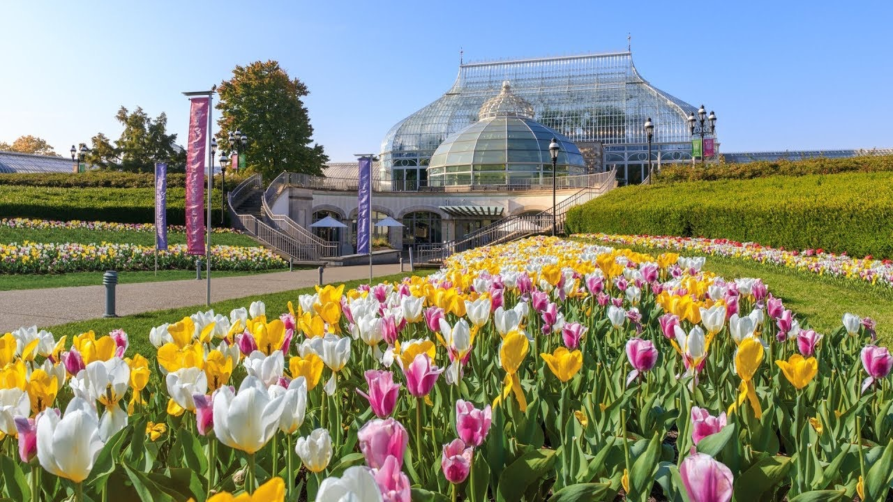 Our Current Project: Phipps Convervatory and Botanical Gardens